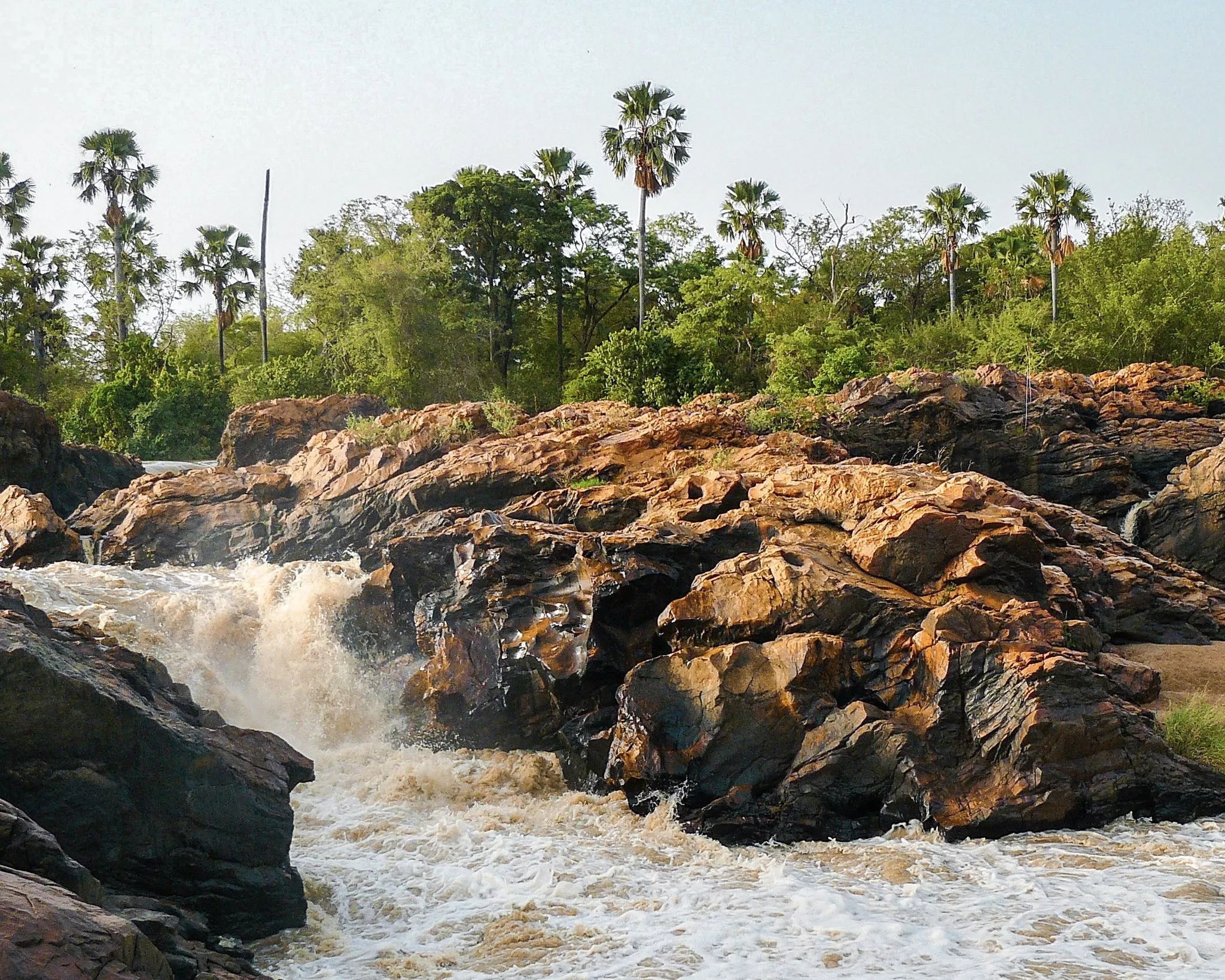 Le Parc National W – BÉNIN
