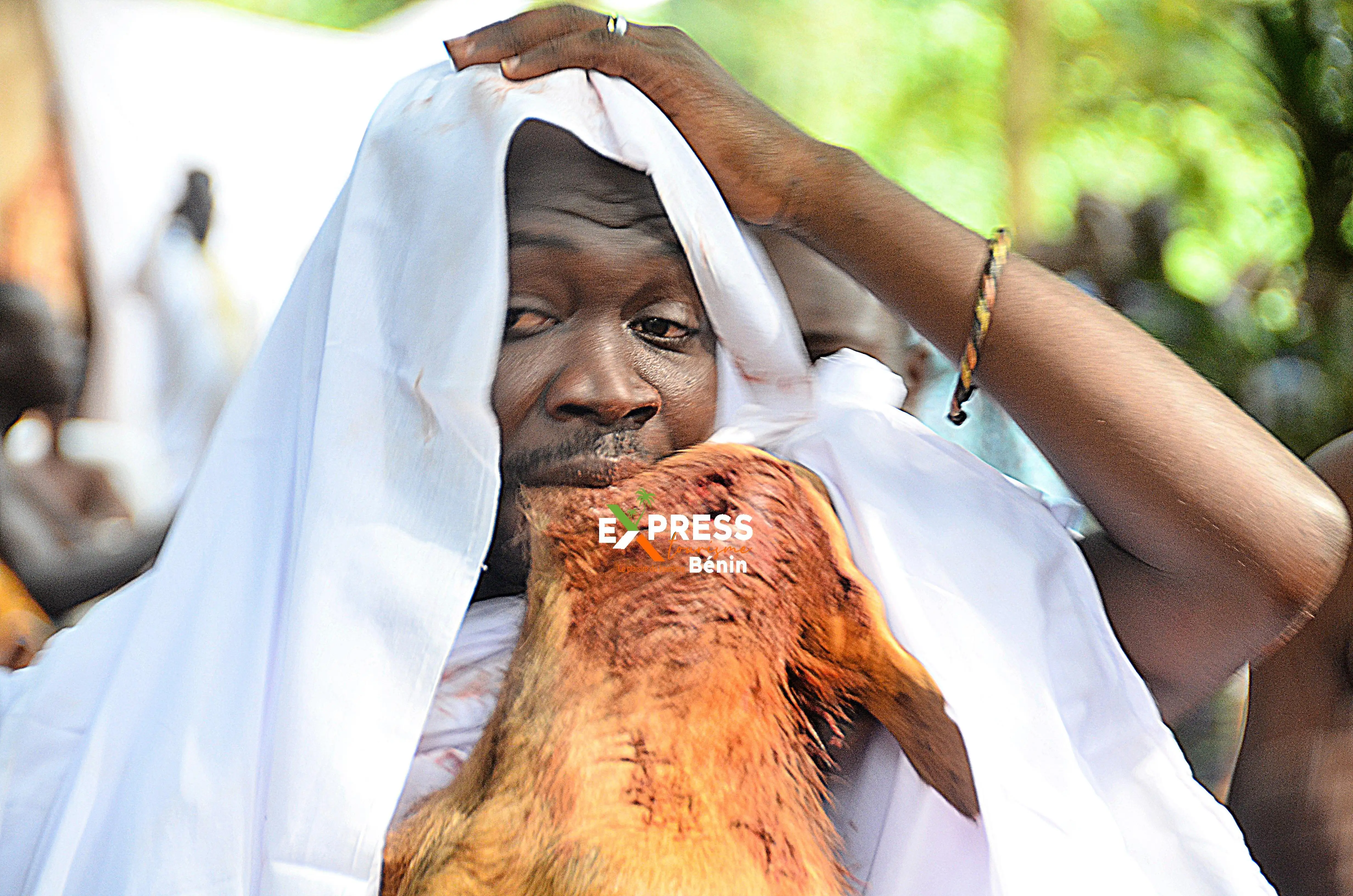 Image Express Tourisme Bénin