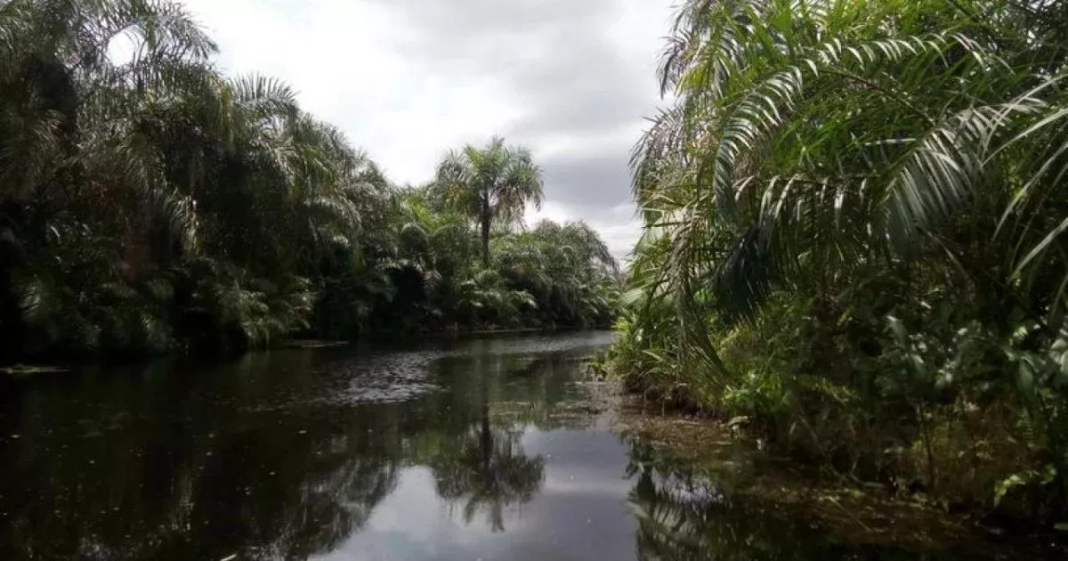 Vister le Benin - La rivière noire d’Adjarra - Express Tourisme