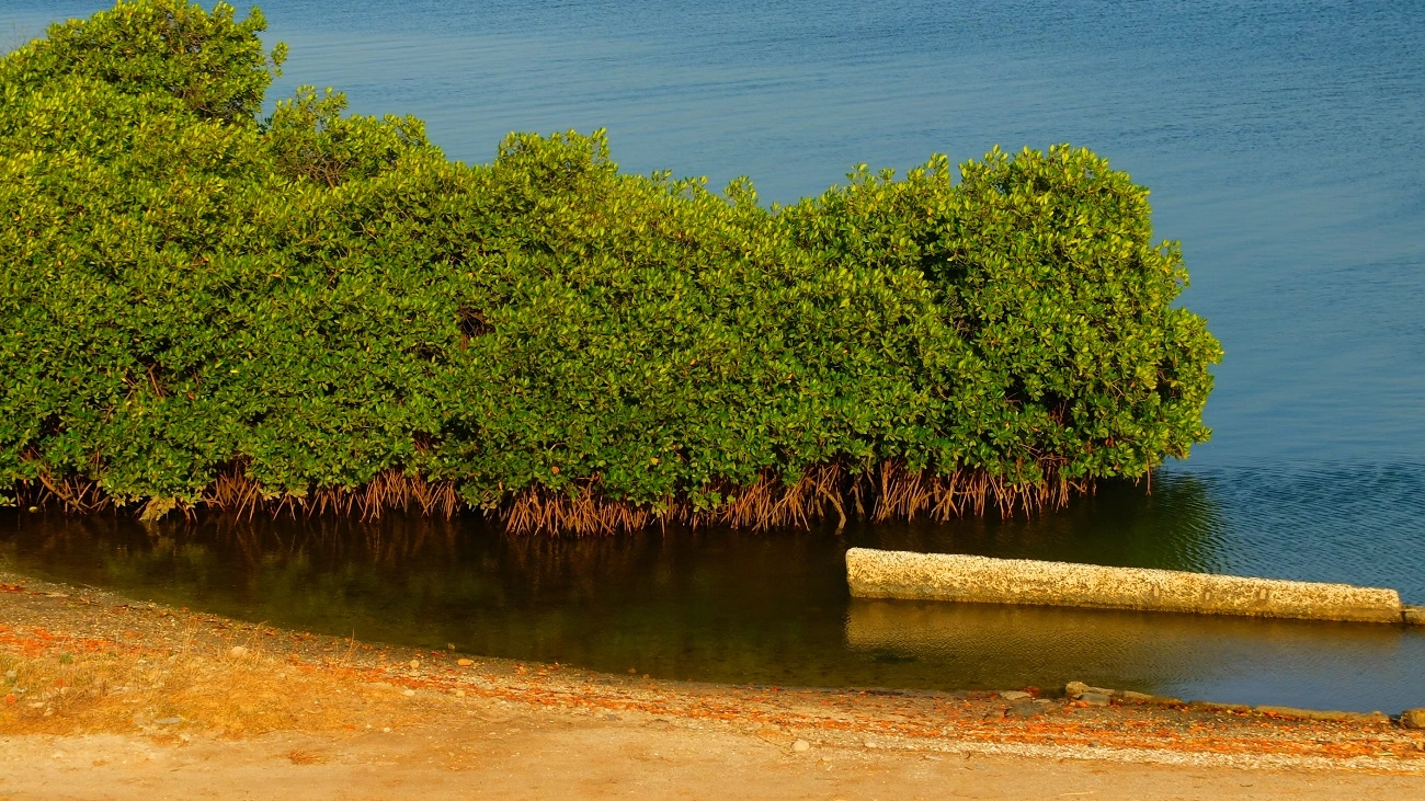 Vister le Benin - 10 incontournables à visiter au Bénin - Express Tourisme