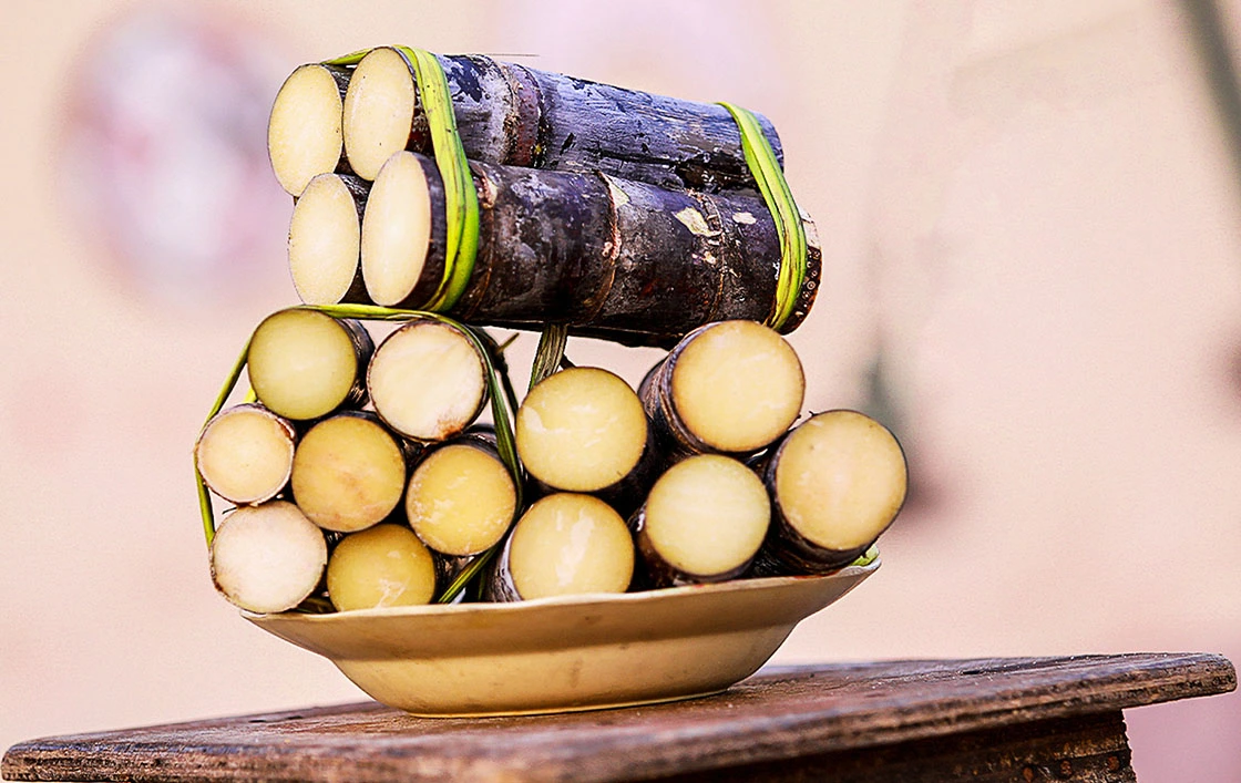 Vister le Benin - Pourquoi visiter Sèmè-Kpodji ? - Express Tourisme